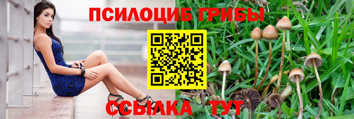 Псилоцибиновые грибы Cubensis  Вход с VPN  Абакан 